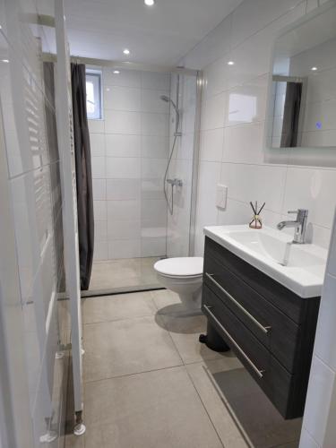 un bagno con wc, lavandino e doccia di De Mossel 147 a Bruinisse