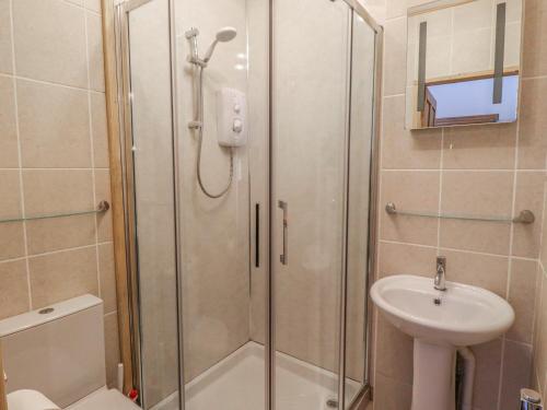a bathroom with a shower and a toilet and a sink at Seafield Granary in Alnwick
