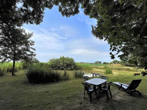 a picnic table and chairs in a field at Ferienwohnung Clara Hof Döttgebüll in Aventoft