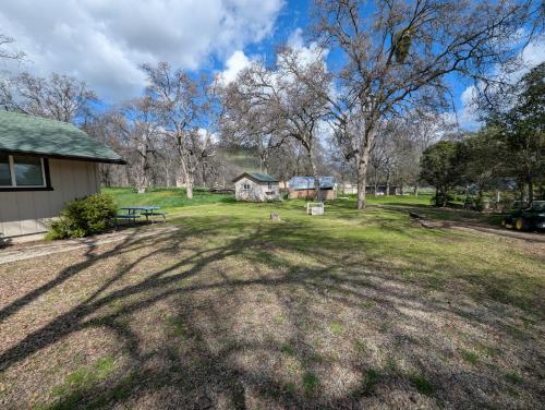 a large yard with trees and a house at Squaw Valley Motel Room 2 in Squaw Valley