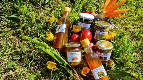 a group of jars of food on the grass at Le Palmiste Enchanté in La Plaine des Palmistes