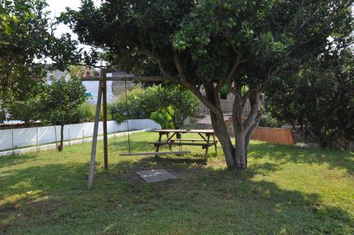 a picnic table next to a tree in the grass at Hotel Savoia in Procida