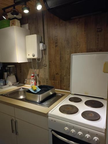 a kitchen with a white stove and a sink at Privatzimmer Zur alten Salzstraße in Schnakenbek