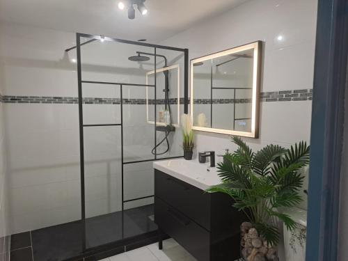 une salle de bain avec un lavabo et un miroir dans l'établissement Le Scoubidou, à Perpignan