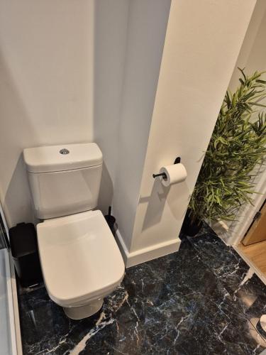 a bathroom with a white toilet and a plant at Sapphire Luxe- Basingstoke Sleeps 4 with Free Parking in Basingstoke