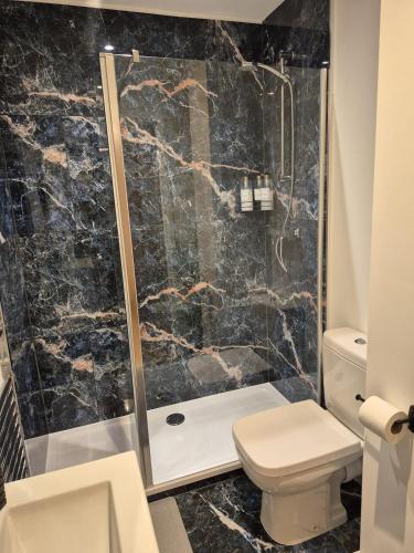a bathroom with a shower and a toilet at Sapphire Luxe- Basingstoke Sleeps 4 with Free Parking in Basingstoke