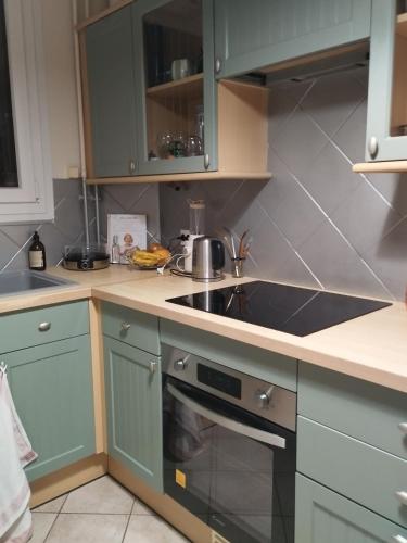 une cuisine avec des armoires vertes et un évier dans l'établissement 3 chambres Compiègne, à Compiègne