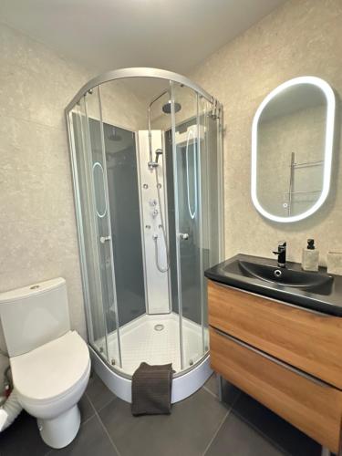 une salle de bain avec une douche, des toilettes et un lavabo dans l'établissement Studio lumineux piscine/plages, à Mandelieu-la-Napoule