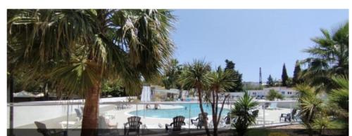 - une vue sur la piscine bordée de palmiers dans l'établissement Camping marvilla MH 253, à Agde