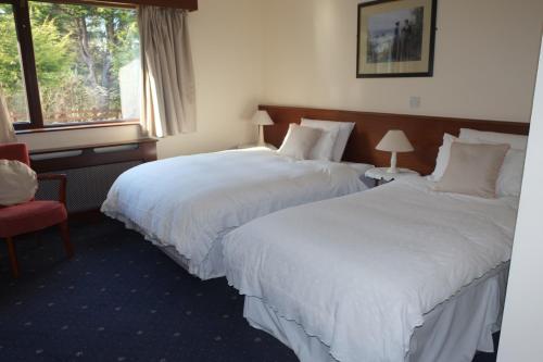 una habitación de hotel con 2 camas y una silla roja en Woodville B&B, en Bray