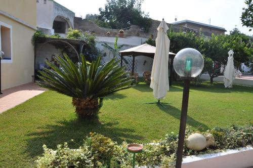 a yard with an umbrella and a palm tree at Hotel Savoia in Procida