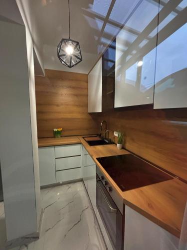 Kuchyň nebo kuchyňský kout v ubytování Ilidza Apartments - PEJTON RESIDENCE - Free Parking