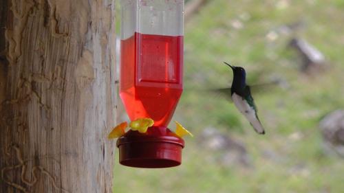 Casa Colibrí – Photos 2