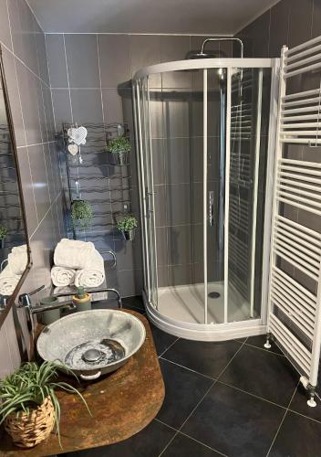 une salle de bain avec douche et lavabo dans l'établissement Gîte Ripcup au coeur de Ribeauvillé, à Ribeauvillé