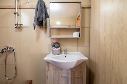 a bathroom with a white sink and a shower at Spacious Villa With a Pool in Nea Peramos