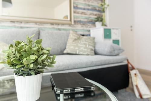 a living room with a couch and a table with a plant at Deluxe Appartements am Münster in Freiburg im Breisgau
