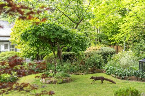 a garden with a statue of a cat in the grass at The Bundanoon Guest House in Bundanoon