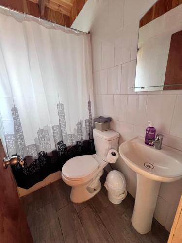 a bathroom with a toilet and a sink at Cabañas NATURE in Gorbea