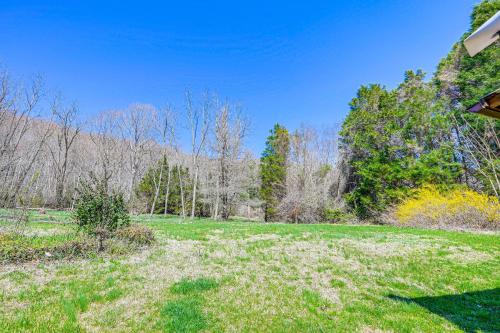 a field of grass with trees in the background at Fire Pit and Decks Creekside Cabin in Robbinsville in Robbinsville