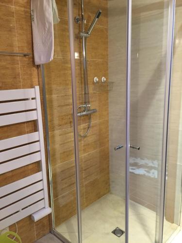 a shower with a glass door in a bathroom at Gites Des Sablons in Châtillon-sur-Marne