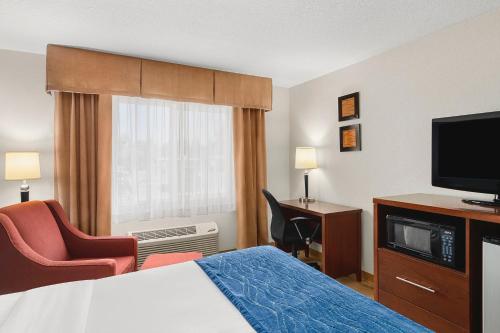 TV o dispositivi per l'intrattenimento presso Comfort Inn & Suites Vancouver Downtown City Center