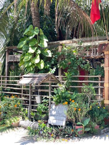 Taman di luar Homestay Vườn Nhà Út