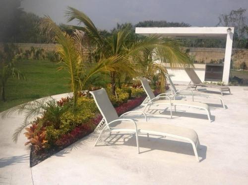 a row of white chairs sitting in a patio at FABULOSO HOTEL CON 2 MAGNIFICAS ALBERCAS, a MINUTOS DE CUERNAVACA in Jiutepec