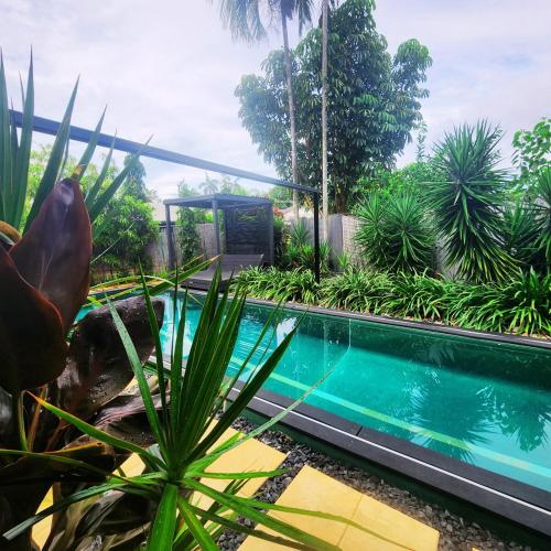 a swimming pool in a garden with plants at 4 BDR Airconditioned Tropical Escape, Lap Pool & Parking for Caravans, Boats and Trailers in Casuarina