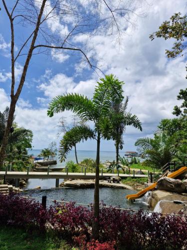 Příroda nedaleko rezortu