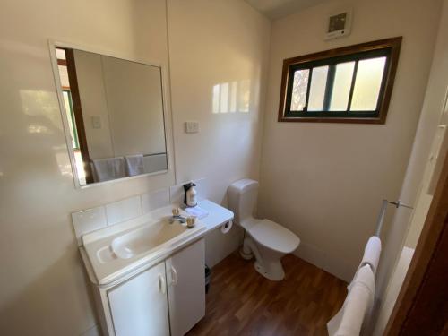 a bathroom with a sink and a mirror and a toilet at Kangaroo Island Cabins in Kingscote