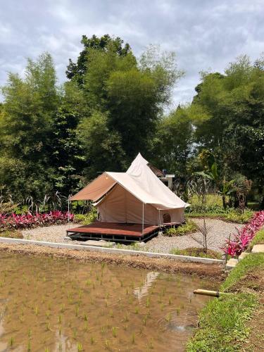 a tent sitting next to a body of water at Bamboo Sanctuary Pancawati Resort Bogor in Ciherangsating