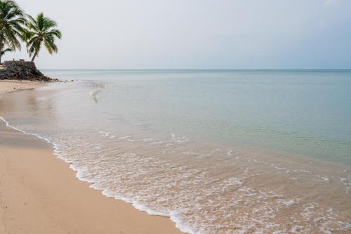 a beach with two palm trees and the ocean at Sun & Sand Bungalows in Thongsala