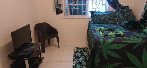 Televiisor ja/või meelelahutuskeskus majutusasutuses Multiple Holiday Rooms in Port Morant St Thomas Jamaica