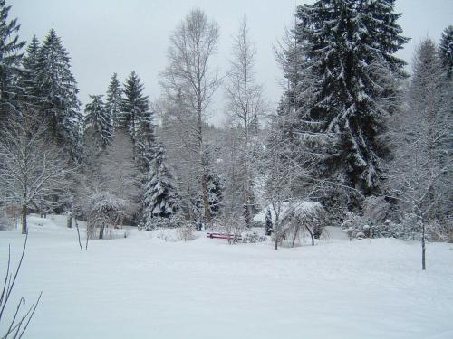 a snow covered park with a bench and trees at Hotel Waldblick Kniebis in Kniebis