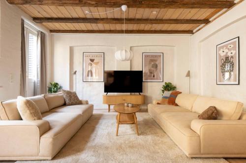 a living room with two couches and a flat screen tv at Charming 4BR Duplex in Nørrebro in Copenhagen