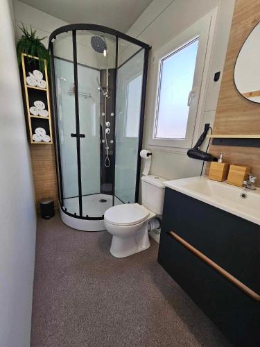 a bathroom with a shower and a toilet and a sink at Mobile home Tortuga in Drage
