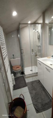 une salle de bain avec une douche, des toilettes et un lavabo dans l'établissement La Marynath, à Cholet