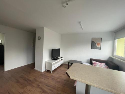 Zdjęcie z galerii obiektu Jelenia we Wrocławiu