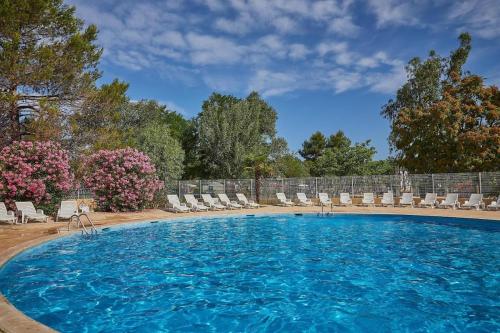 - une grande piscine avec des chaises et des fleurs dans l'établissement mobil-home 43, à La Roque-dʼAnthéron