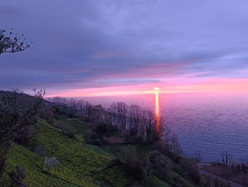 Paesaggio naturale nelle vicinanze del bed & breakfast