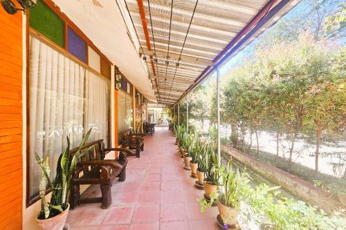 a hallway with benches and potted plants in a building at Thai Gallery Baantawai in Chiang Mai