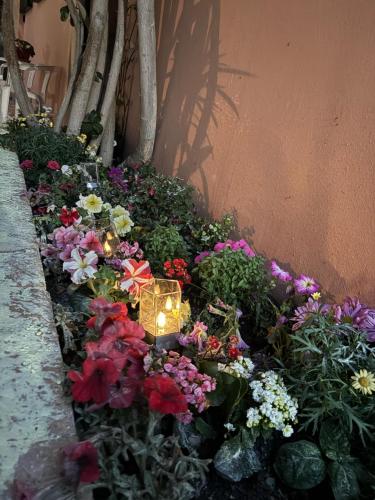 a garden of flowers with a candle in the middle at Rouchotas Studios by Viktor 1rst Floor in Argostoli