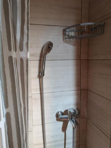 a shower with a shower head in a bathroom at Πολύμνια in Agia Anna
