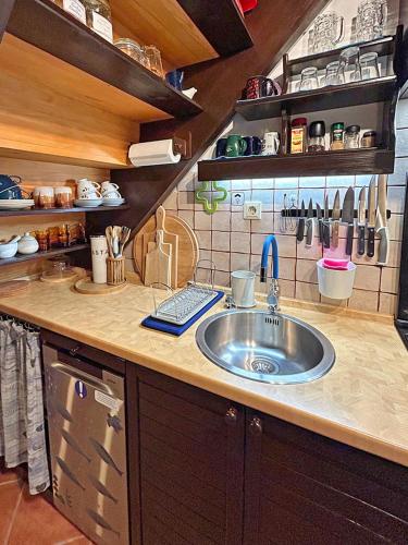 a kitchen with a sink and a counter top at Nives Garden house in Nerezine