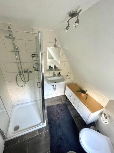 a bathroom with a shower and a toilet and a sink at Goorn Hus, Ferienhaus in Schneverdingen