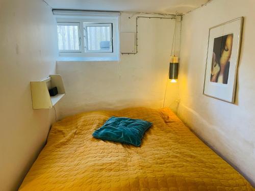 a bed in a room with a green pillow on it at Charmerende kælderlejlighed i villa in Bronshoj