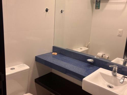 a bathroom with a sink and a mirror and a toilet at ibis Styles Confins Aeroporto in Lagoa Santa