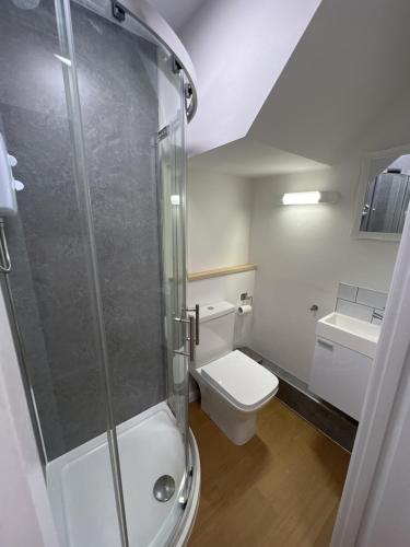 a bathroom with a shower and a toilet and a sink at Smart Studio in Milton Keynes - Workspace in Woolstone