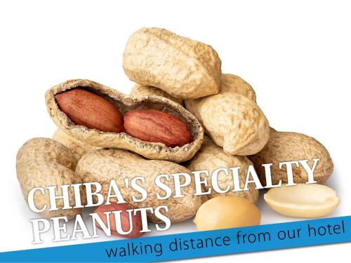 a pile of peanuts with the words chickasacly peanuts walking distance from our hotel at ホテル　センチュリーアネックス in Chiba