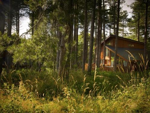 a cabin in the middle of a forest at Thorpe Forest Cabins - Forest Holidays in Thetford